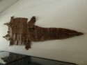 Crocodile skin hanging on the wall at a conservation center